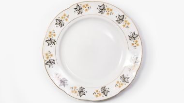 plating-instructions-image
